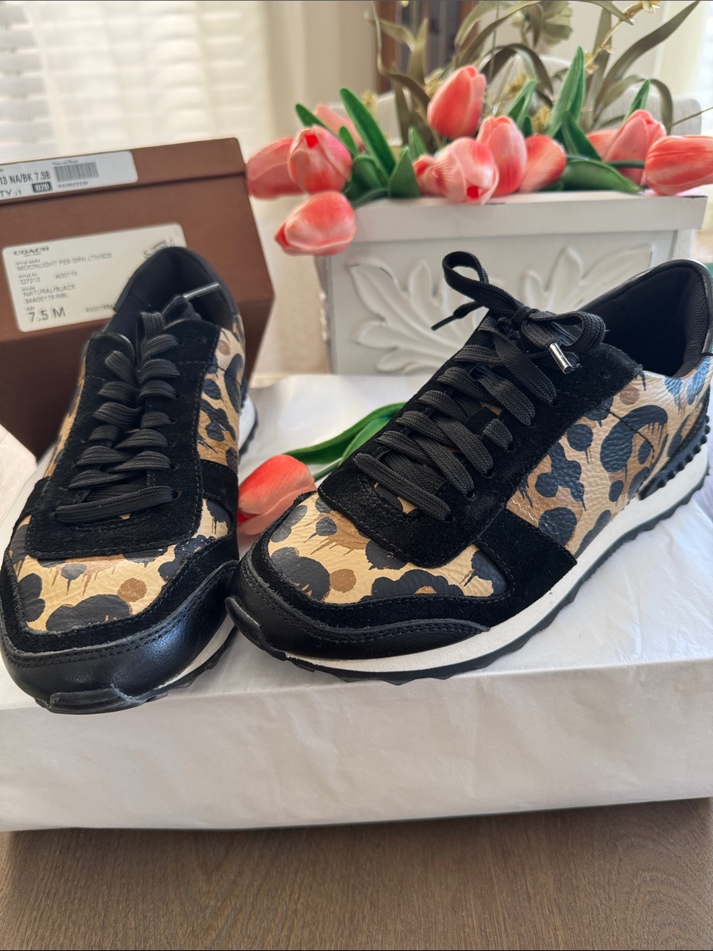 NEW IN BOX! #87 COACH Black Leopard Print Lace-Up Sneakers 7.5